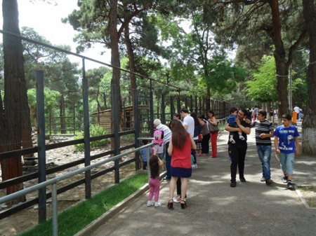 Başıbəlalı Tiflis zooparkında bu dəfə yanğın baş verdi