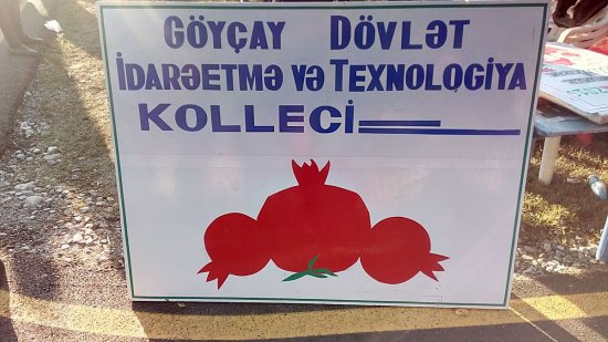 Danışır Göyçay Dövlət İdarəetmə və Texnologiya kollecinin direktoru!