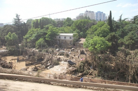 Tiflis heyvanxanası dağıdıcı seldən sonra (FOTOLAR)