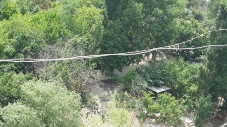 Abutalıbovun sərəncamı Bakıda aranı qarışdırdı (FOTOLAR)