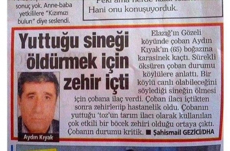 Türklər rus qızlarını boykot etsin! - Təklif