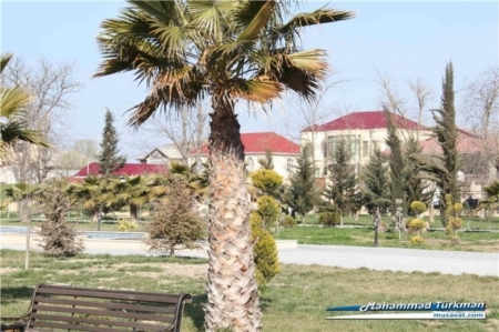 İşdən çıxarılan icra başçısı villasını satır -Fotolar