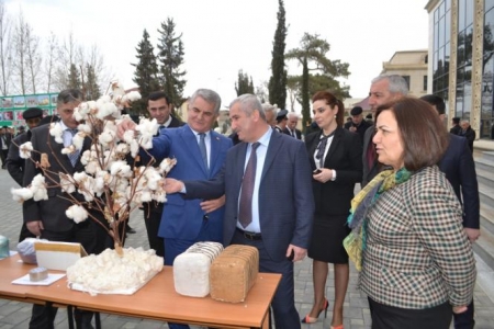 Başçının prezidentə 5 müdhiş yalanı - Araşdırma/Foto