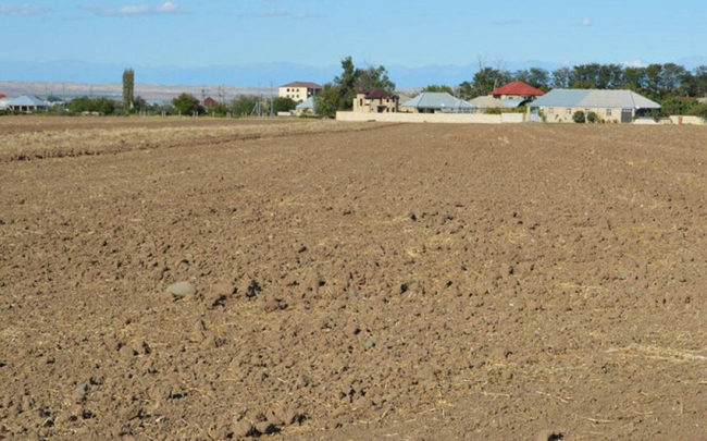 Azərbaycanda ötən il dövlət mülkiyyətinə keçmiş 20 torpaq sahəsi satılıb