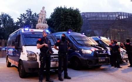 Gürcüstanda "qanuni oğru"lara qarşı əməliyyat keçirilib, 13 nəfər saxlanılıb