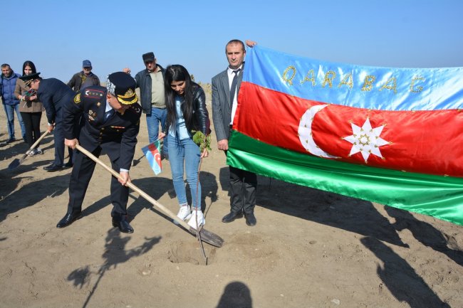 Tərtərdə 8 Noyabr-Zəfər Günü münasibətilə ağacəkmə aksiyası keçirilib Tərtərdə 8 Noyabr-Zəfər Günü münasibətilə ağacəkmə aksiyası keçirilib